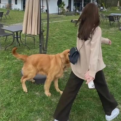 康熙微服私访记3